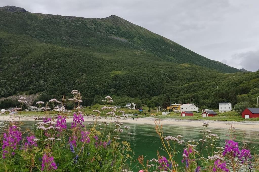 Norwegian House Maria Stua Apartment Mefjordvaer Bagian luar foto